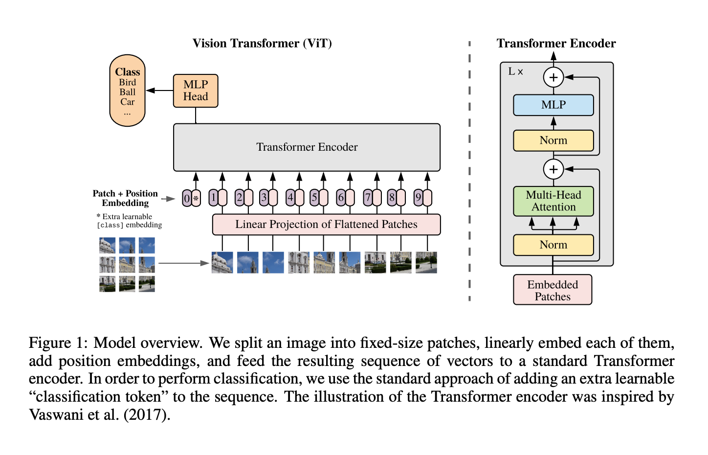 Vision Transformer (ViT-B/16) Architecture Implementation thumbnail 1